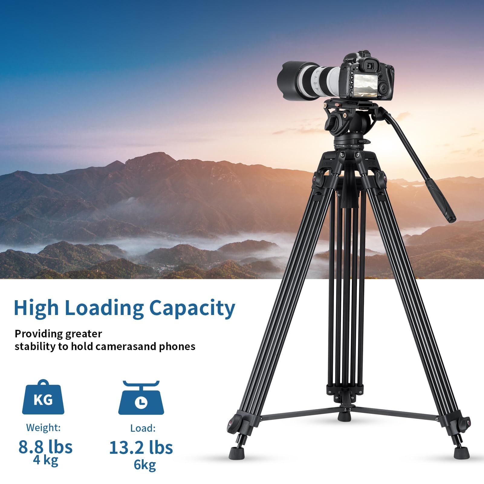 Cayer BV30L System
